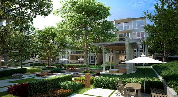 จัดสวนคอนโด Land and House