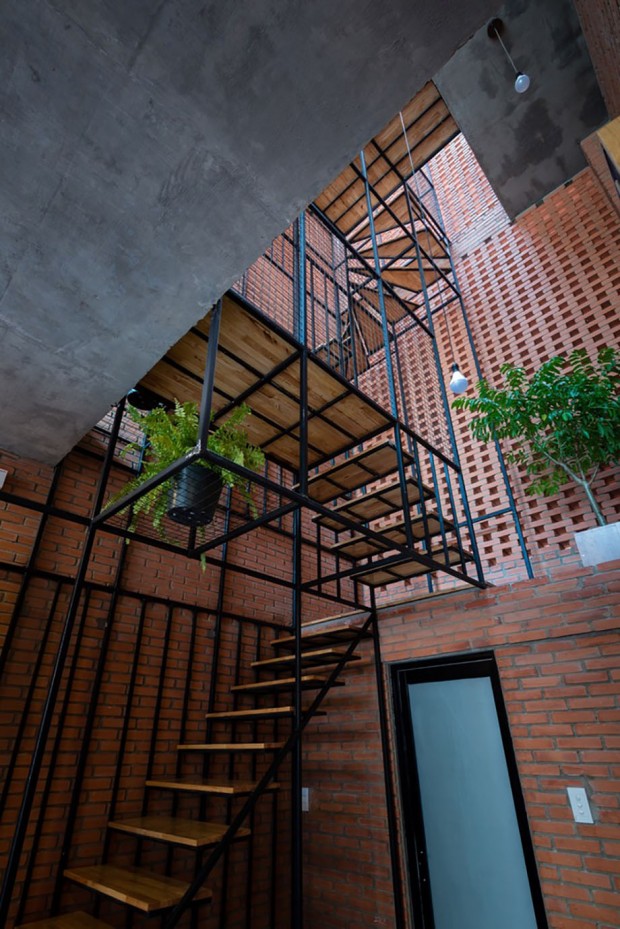 Wasp-House-Tropical-Space-05