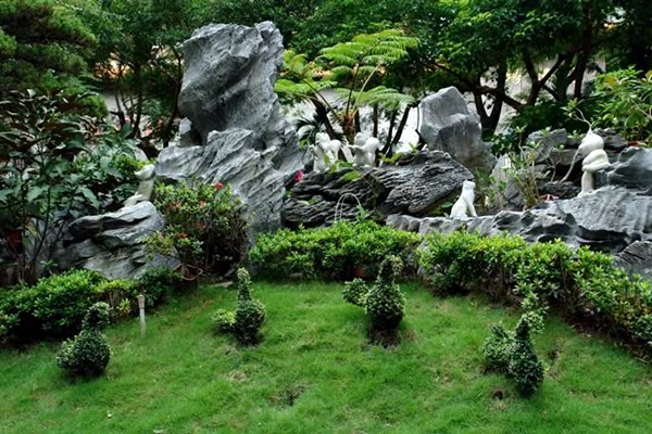 Rock garden