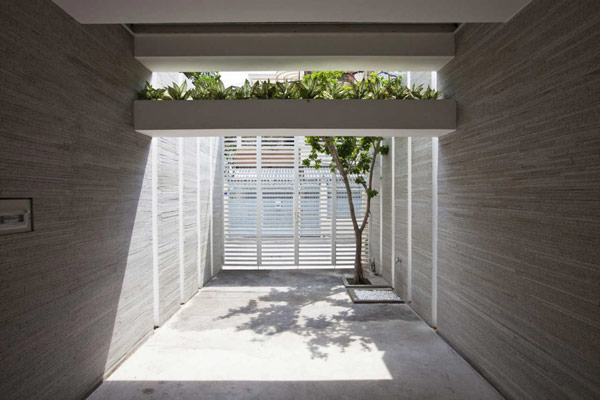 จัดสวนภายใน จัดสวนบนตึก คอนโดมิเนียม