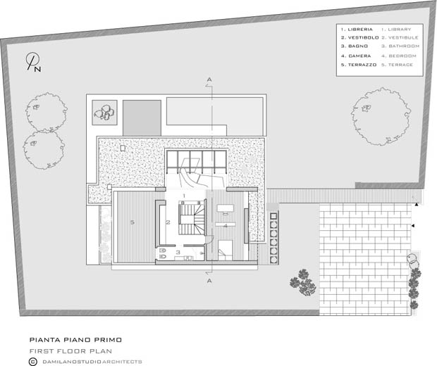 Home Plan Modern 