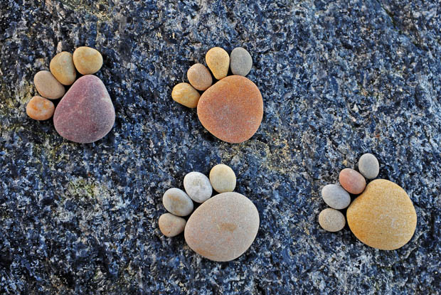 ROCK GARDEN DESIGN IDEAS