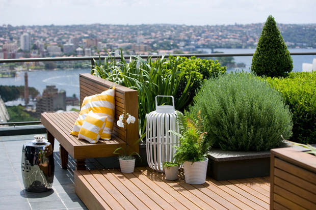 Roof Garden Design