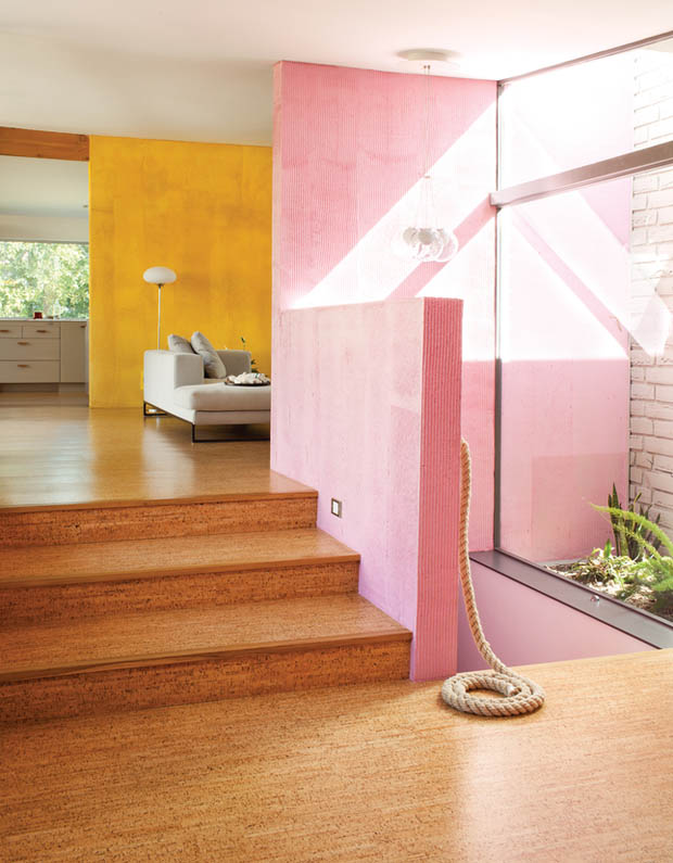 ทาสีผนังบ้าน สีชมพู สีทาบ้าน