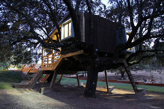 Tree House Design