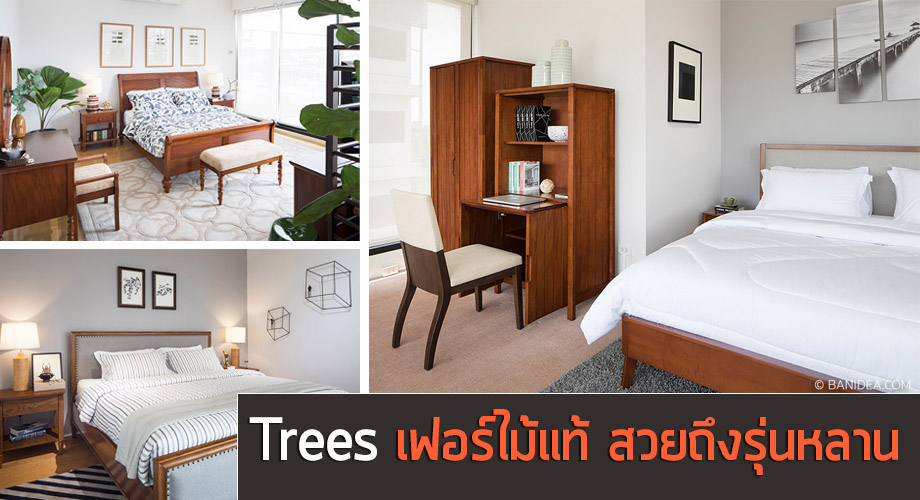 Trees เฟอร์นิเจอร์ไม้ยางพารา