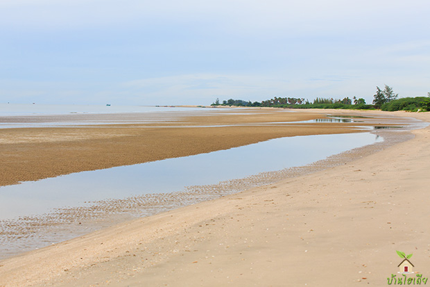 ชายหาดขาวสวย หาดปึกเตียน