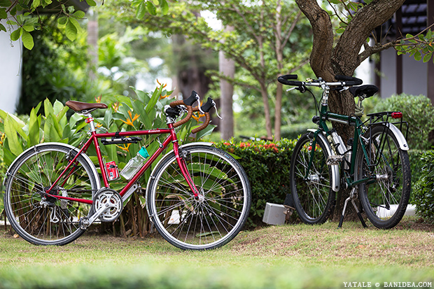 บรรยากาศสวนสวย ภายในรีสอร์ท