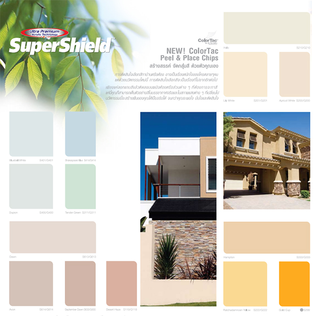 Code สี ทาภายใน ภายนอก Super Shield TOA