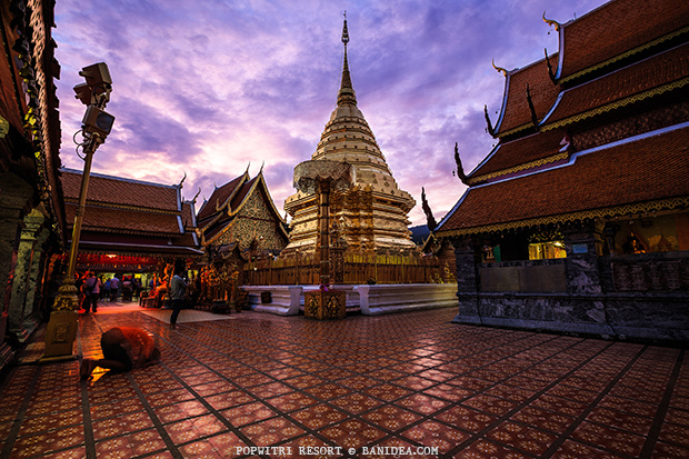 ภาพถ่าย วัดพระธาตุดอยสุเทพ