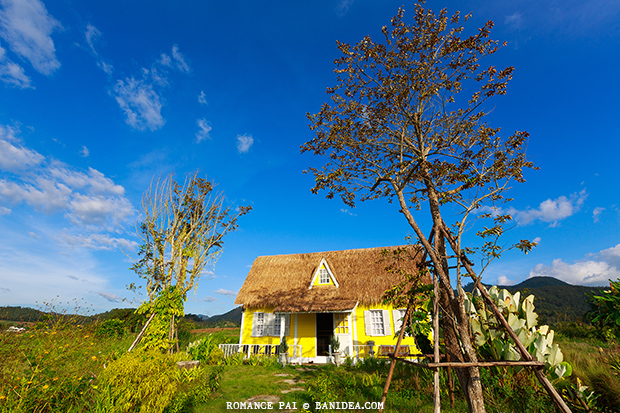 รีวิวรีสอร์ทปาย