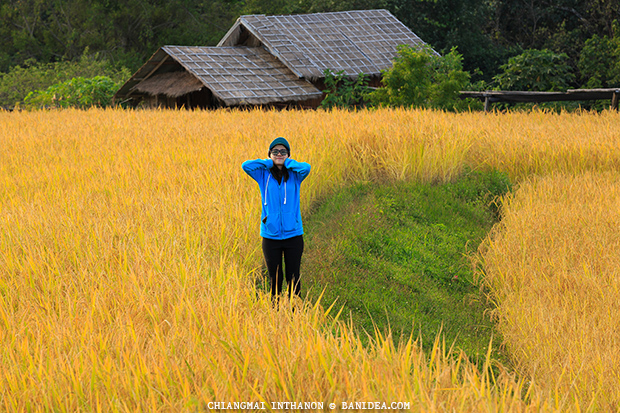 ถ่ายภาพ บนท้องทุ่งนา