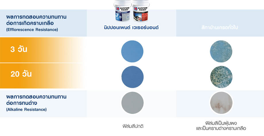 ทดสอบสี นิปปอนเพนต์