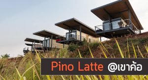 Pino Latte Resort Cafe รีวิว