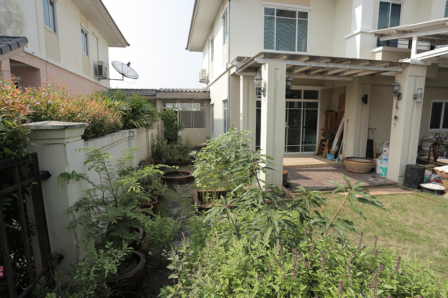 Before-Garden-1-1