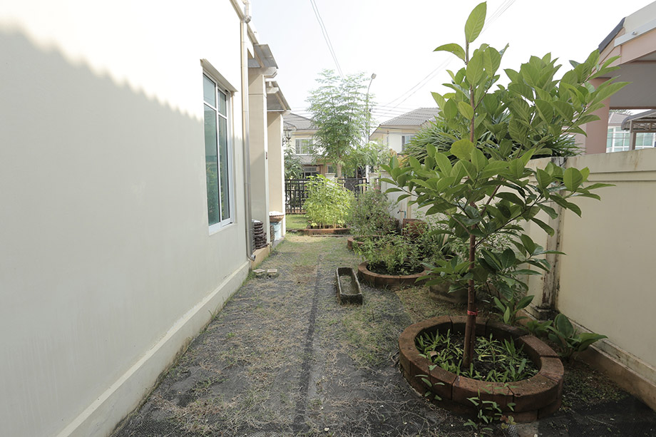 Before-Garden-2