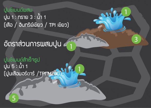 แม่พิมพ์ในสวน