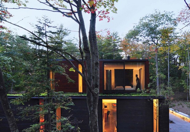 Modern-jugle-house-บ้านสวยกลางป่า