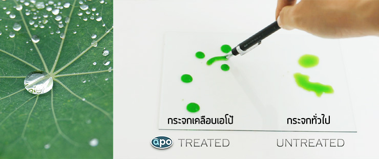 Apo nano ป้องกันคราบสกปรกบนแผ่นกระจก