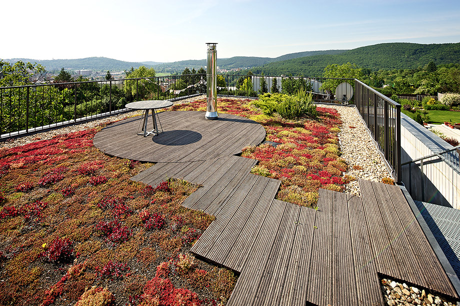 Roof garden สวนบนหลังคา