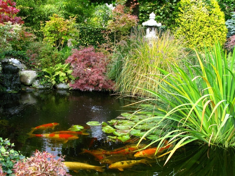 สวนน้ำจัดแบบธรรมชาติในบ้าน