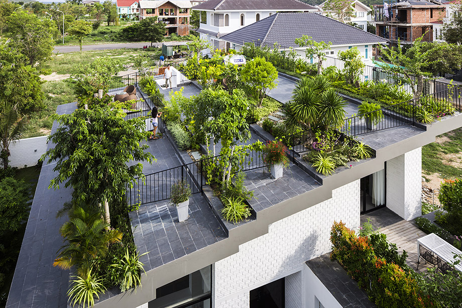 Green roof หลังคาลดร้อน