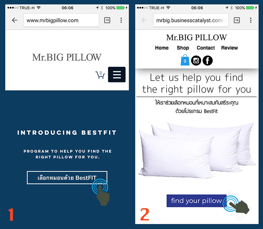 Mr big pillow review online