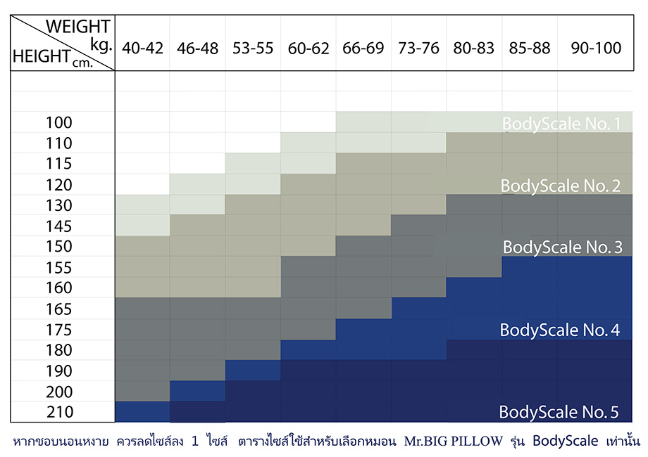 ตารางคำนวน เลือกซื้อหมอน