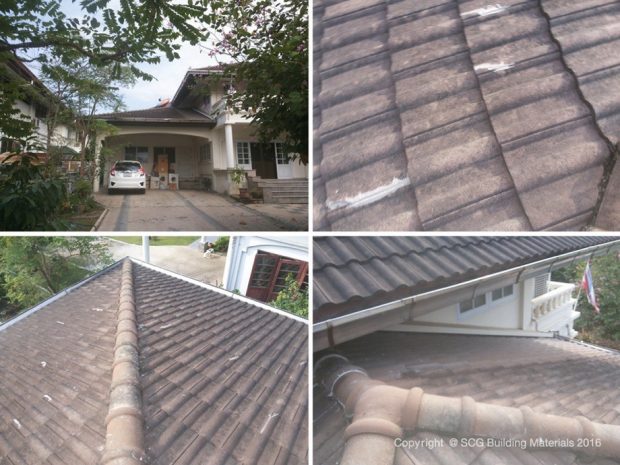 Roof-Renovation