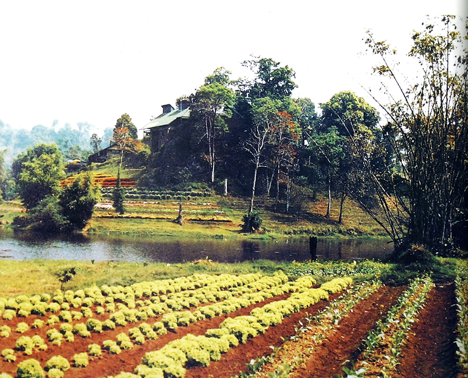 ภาพถ่ายฝีพระหัตถ์