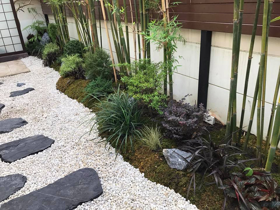 ปลูกไผ่ริมสวนสร้างอารมณ์แบบญี่ปุ่น