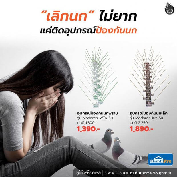 อุปกรณ์ไล่นก Homepro