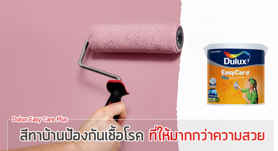 สีป้องกันเชื้อโรค