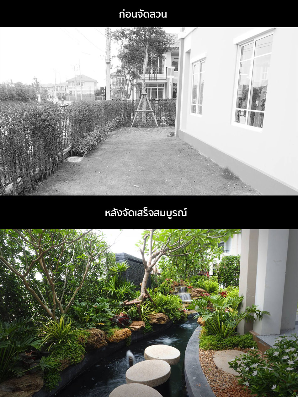 Before After จัดสวนในพื้นที่แคบ 2 เมตร