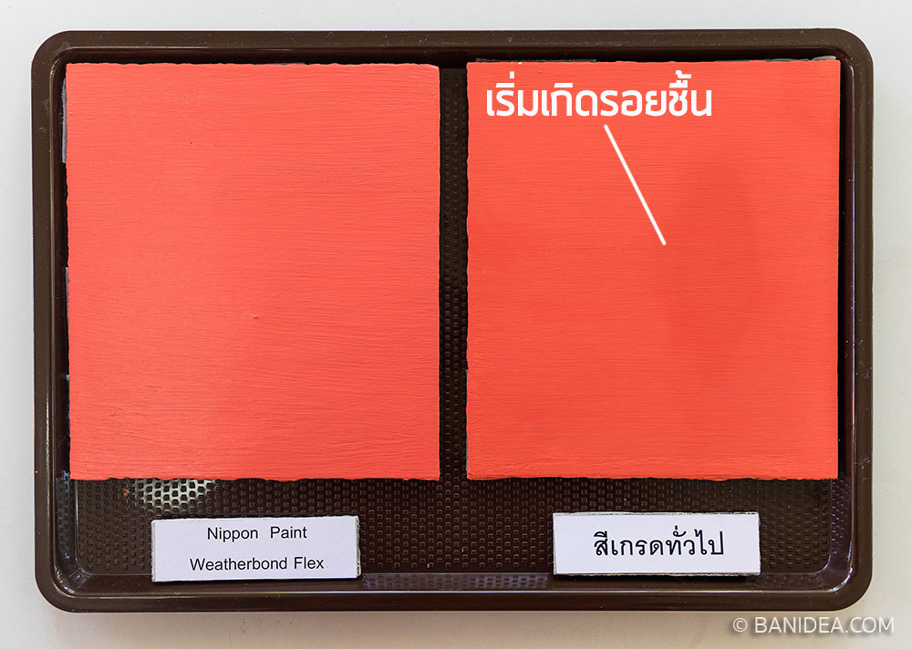 ทดสอบวันที่ 3 สีนิปปอนต์