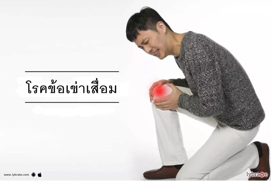 ข้อเข่าเสื่อมจากการนั่งส้วมยองๆ