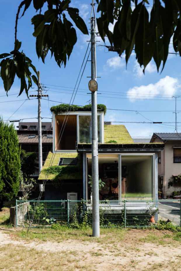 Grass-roof-house