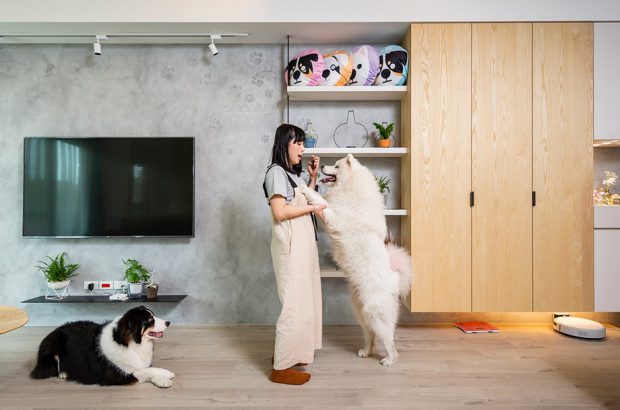 บ้าน pet friendly