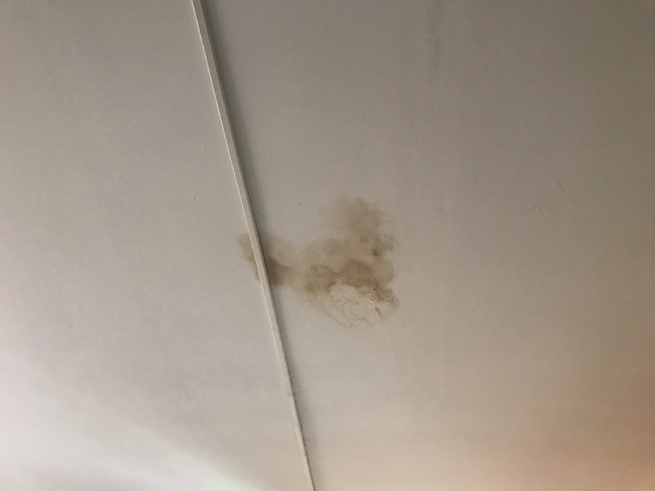 รอยน้ำซึมบนฝ้าเพดาน