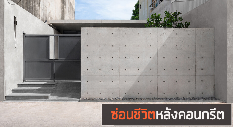 ใช้ชีวิตหลังผนังคอนกรีต บ้านเล็กของคนส่วนตัวสูง - บ้านไอเดีย เว็บไซต์เพื่อบ้านคุณ ใช้ชีวิตหลังผนังคอนกรีต บ้านเล็กของคนส่วนตัวสูง - บ้านไอเดีย เว็บไซต์เพื่อบ้านคุณ