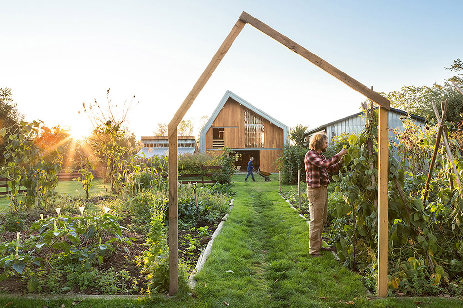 จัดสวนผัก Modern Barn