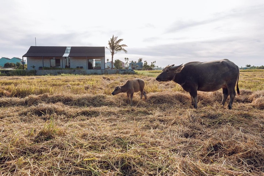 homestay กลางทุ่งนา