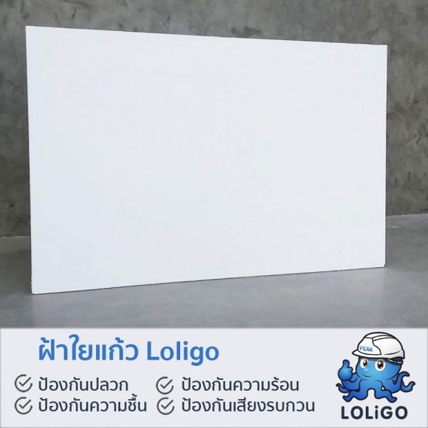 ฝ้าเพดาน Loligo