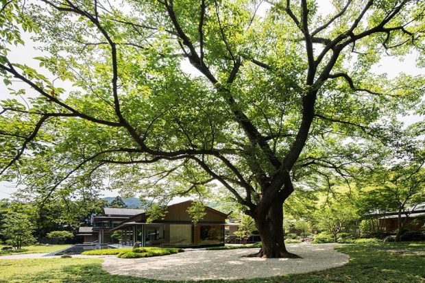 สำนักงานสถาปนิกในญี่ปุ่น