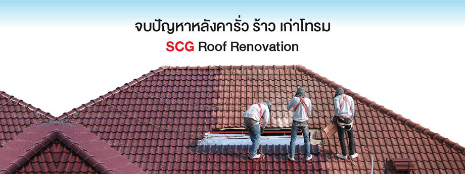 Roof Renovation