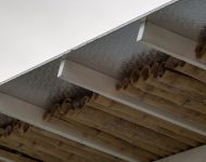 โครงสร้างหลังคาเหล็กเพดานไม้ไผ่