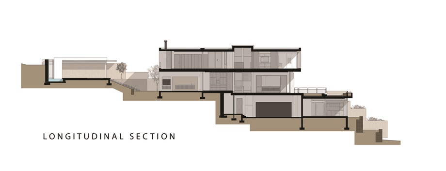 Longitudinal_Section