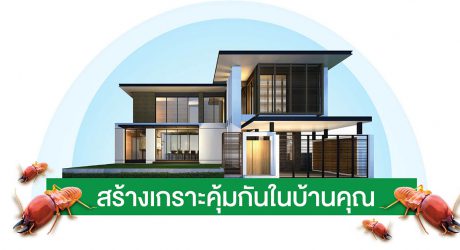 ปัญหาปลวกกินบ้าน