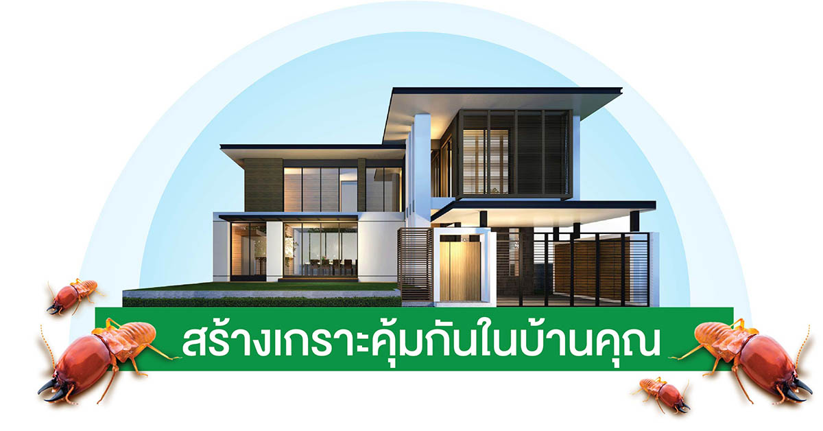 ปัญหาปลวกกินบ้าน