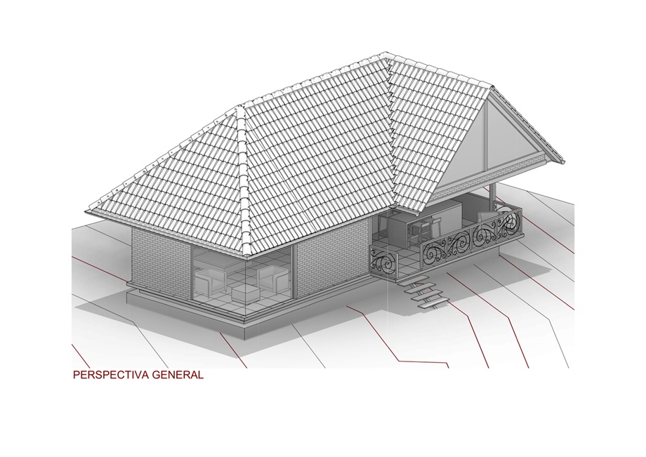 perspectiva-general